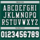 Custom Green White-Gray Mesh Authentic Throwback Football Jersey